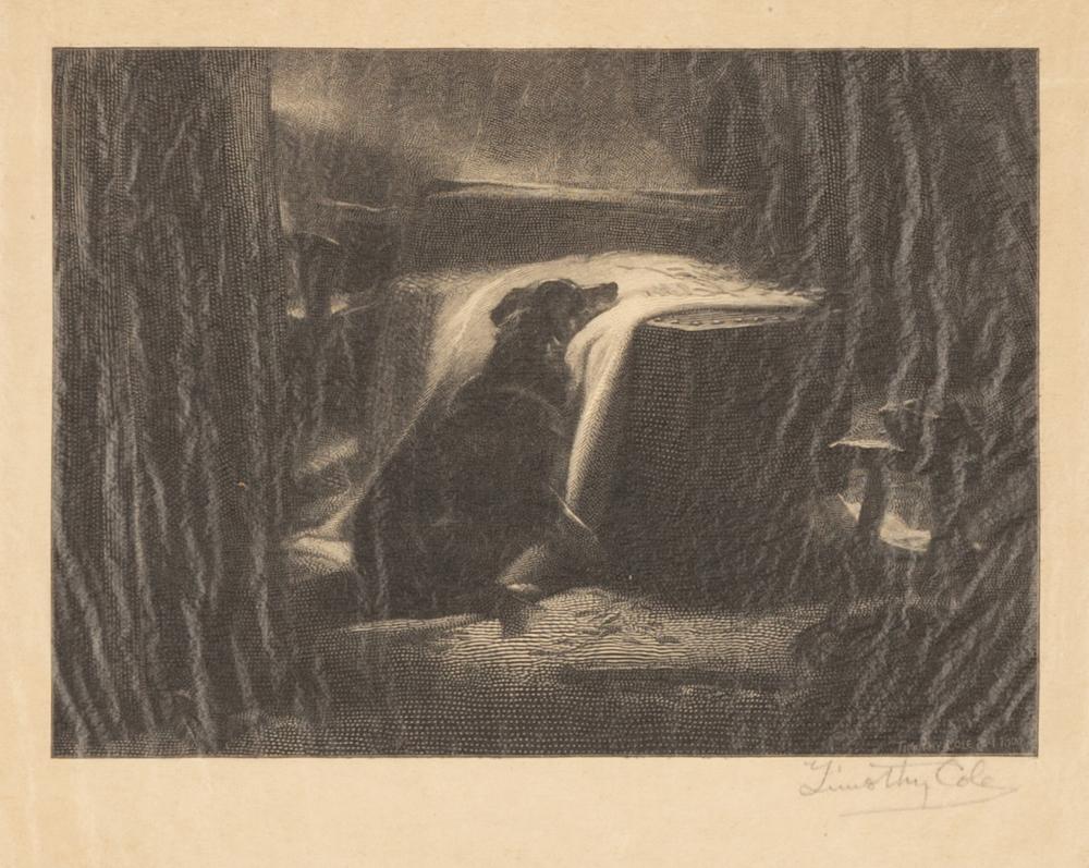 Timothy Cole comparable auction result: timothy cole american 1852 1931 engraving with dog
