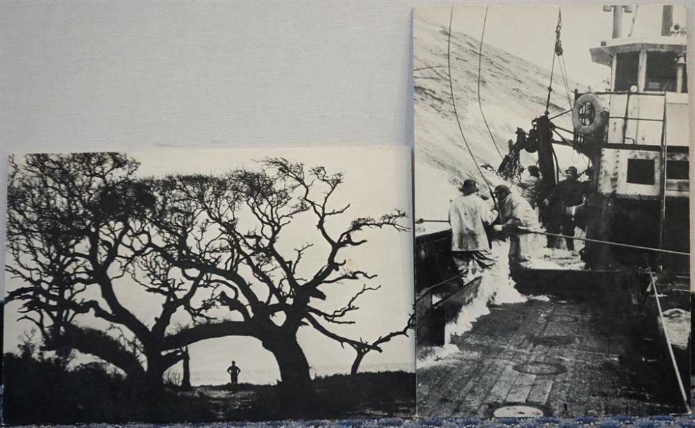 Kosti Ruohomaa comparable auction result: kosti ruohomaa rough seas and contemplation two photo prints unframed 18 x 12 in