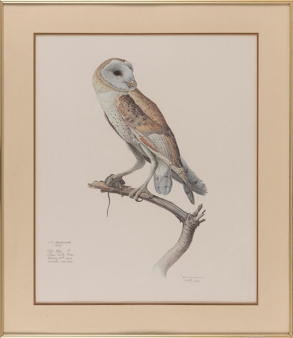 James Fenwick Lansdowne comparable auction result: james fenwick lansdowne british columbia canada 1937 2008 barn owl 1967 lithograph 24 x 19 framed 30 x 25