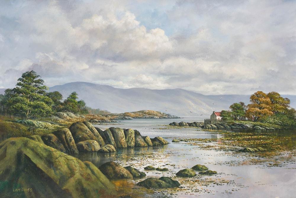 Liam Jones comparable auction result: liam jones connemara galway