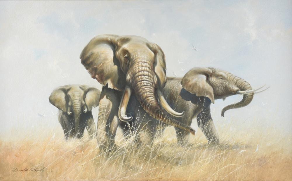 Douglas Van Howd comparable auction result: douglas van howd american b 1935 a painting three elephants in grasses