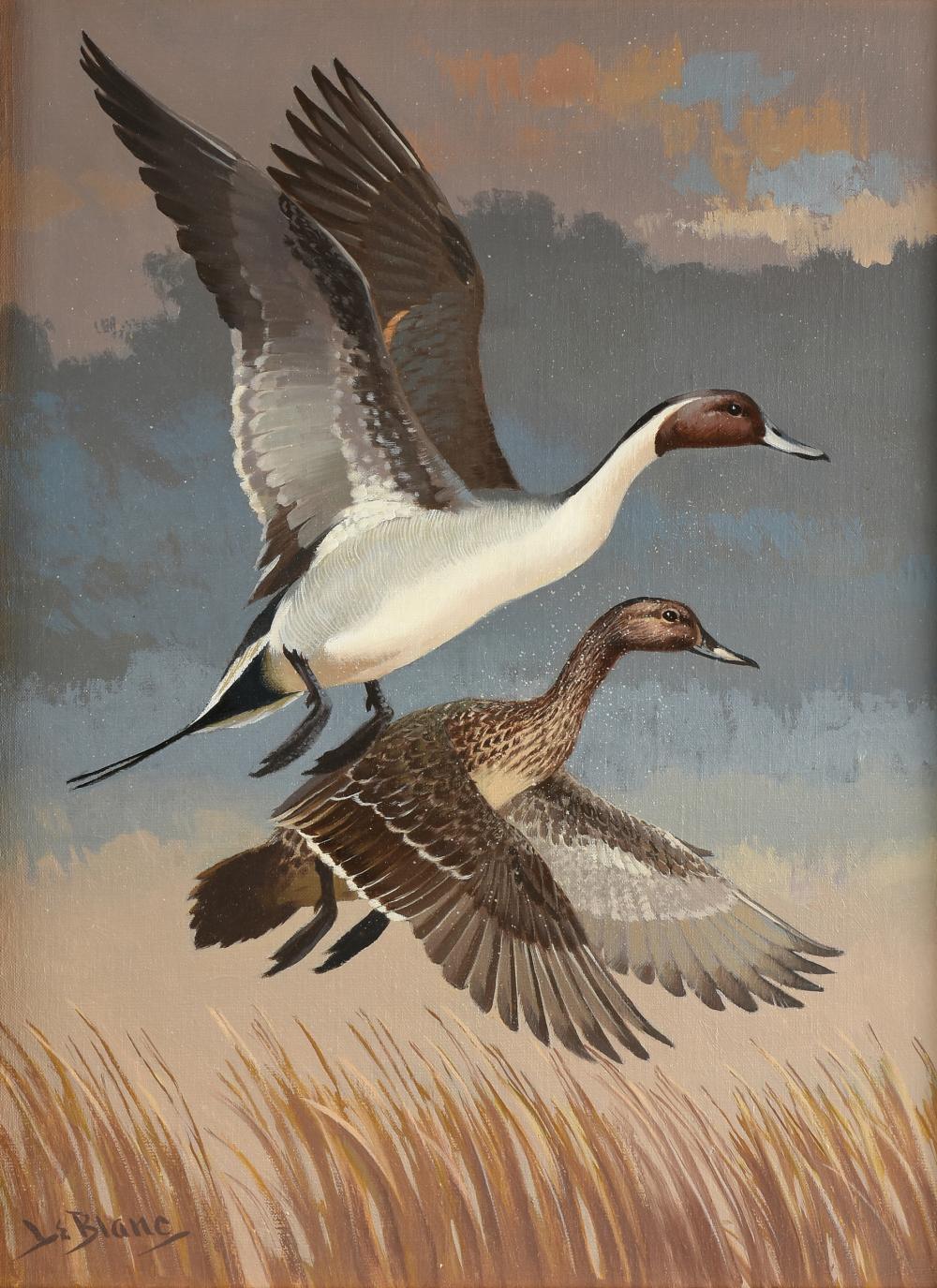 Lee LeBlanc comparable auction result: lee leblanc american 1913 1988 a painting northern pintail anas acuta ducks in flight