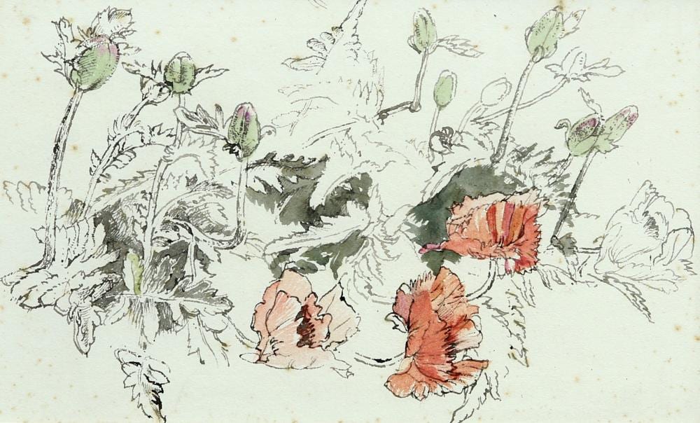 Raymond Teague Cowern comparable auction result: raymond teague cowern 1913 1986 poppies inscribed verso watercolour f