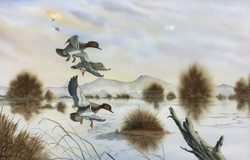Don Griffiths comparable auction result: don griffiths 2008 mallard ducks watercolor