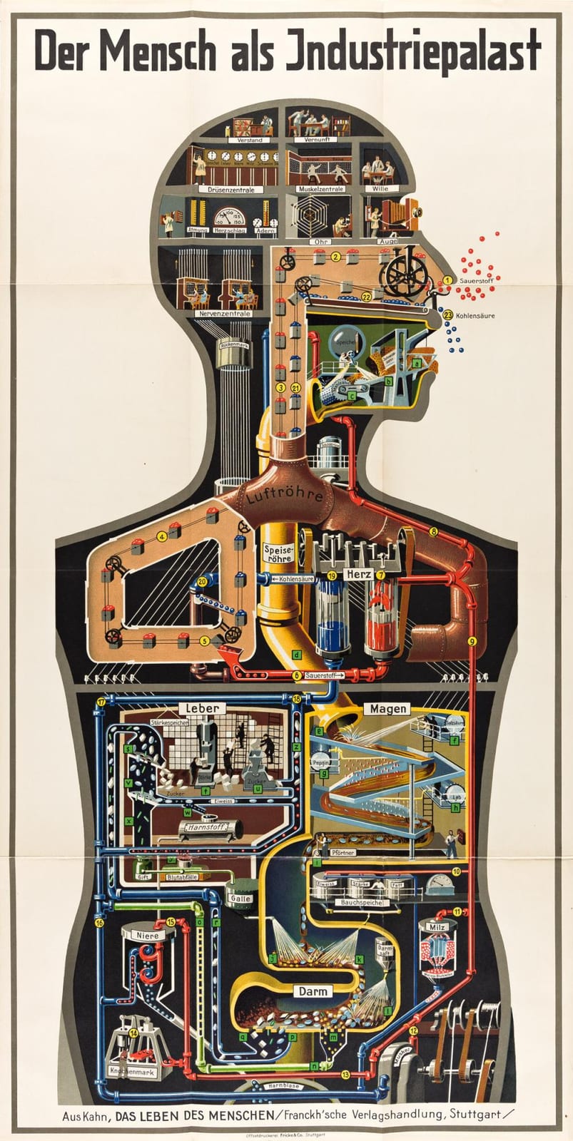 Fritz Kahn comparable auction result: fritz kahn 1888 1968 der mensch als industriepalast poster with 5 bound volumes 1926 37 x19 inches 95 x48 cm fricke co st