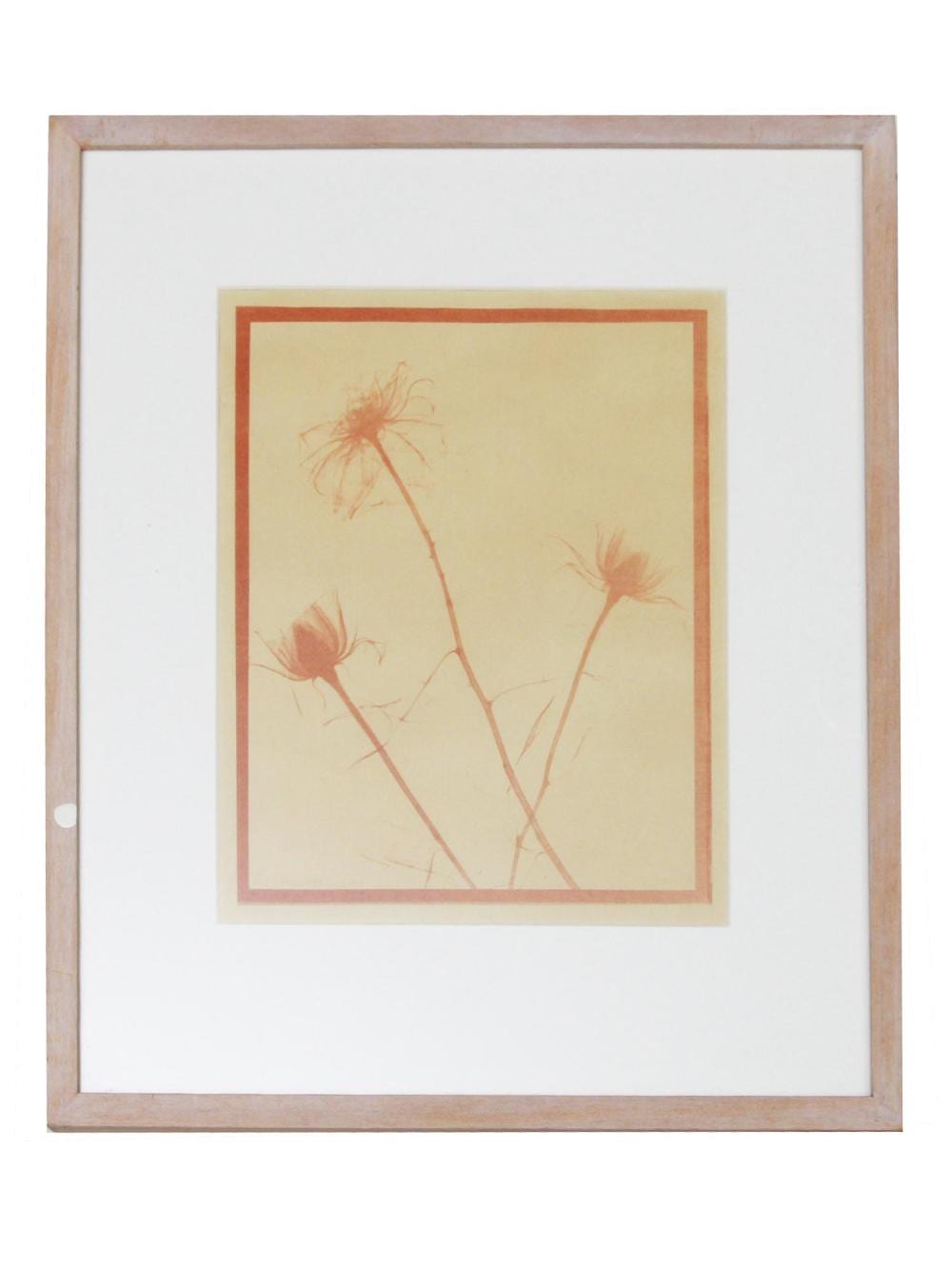 Agnes Denes comparable auction result: vintage american monotype on paper by agnes denes