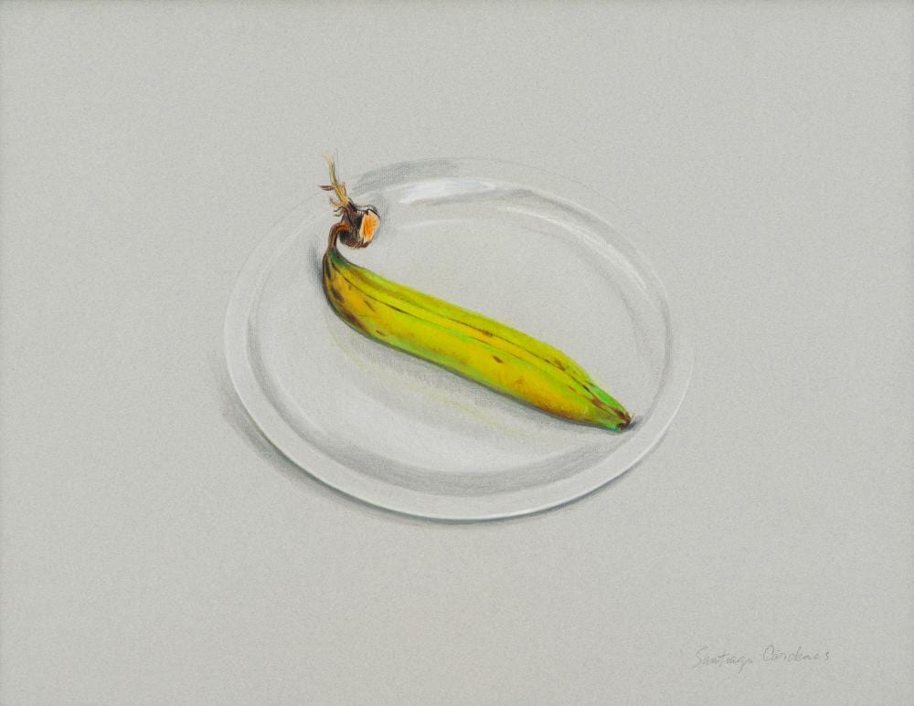 Santiago Cardenas comparable auction result: santiago cardenas 1937 plato con pl tano 1992 pastel sobre papel medidas 48 x 63 cm