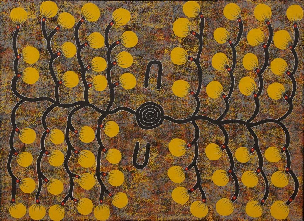 Mary Ross comparable auction result: mary ross bush tomato