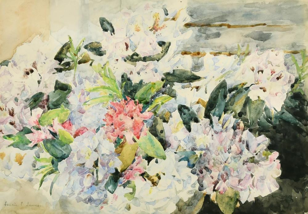 francis edward james 1849 1920 british azaleas watercolour signed with fine art society label verso 1 · John Nicholson's Fine Art Auctioneers & Valuers · 2022-04-06 Francis Edward James comparable auction result: francis edward james 1849 1920 british azaleas watercolour signed with fine art society label verso 1