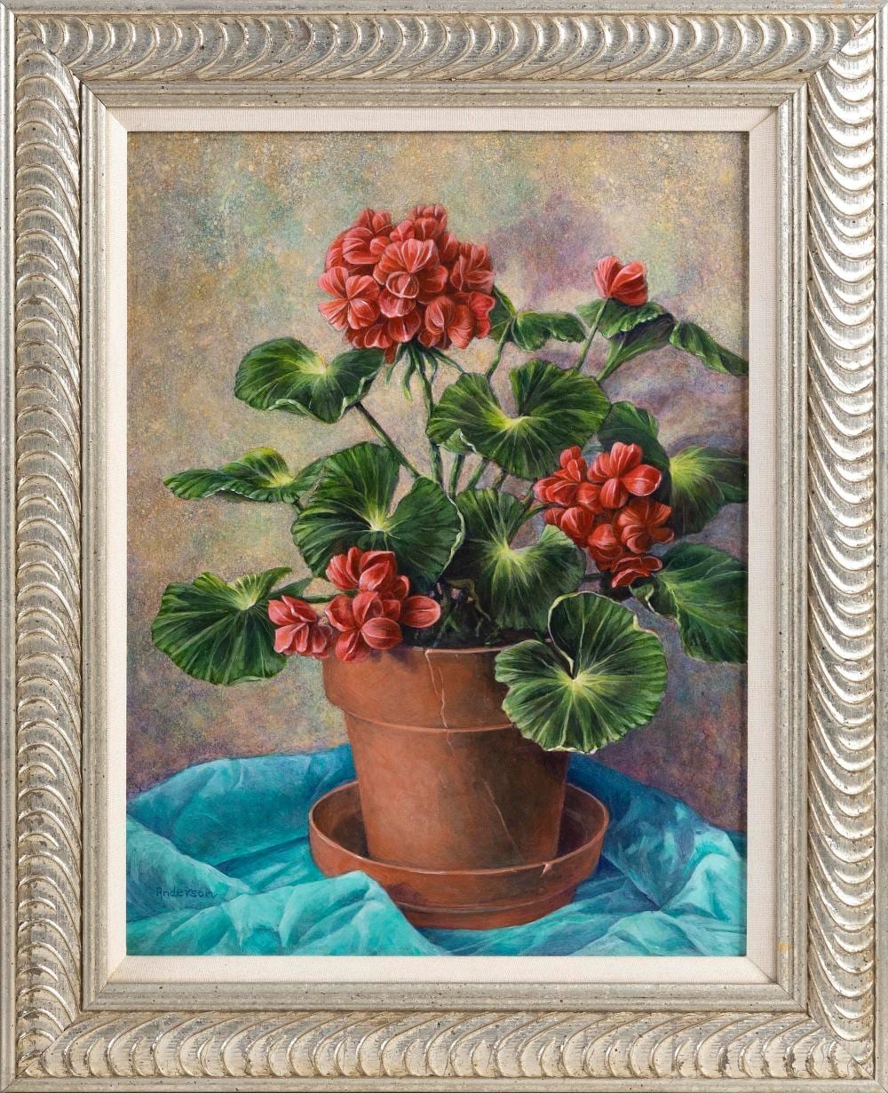 Anne Anderson comparable auction result: anne anderson connecticut contemporary potted geranium acrylic on board 16 x 12 framed 21 x 16