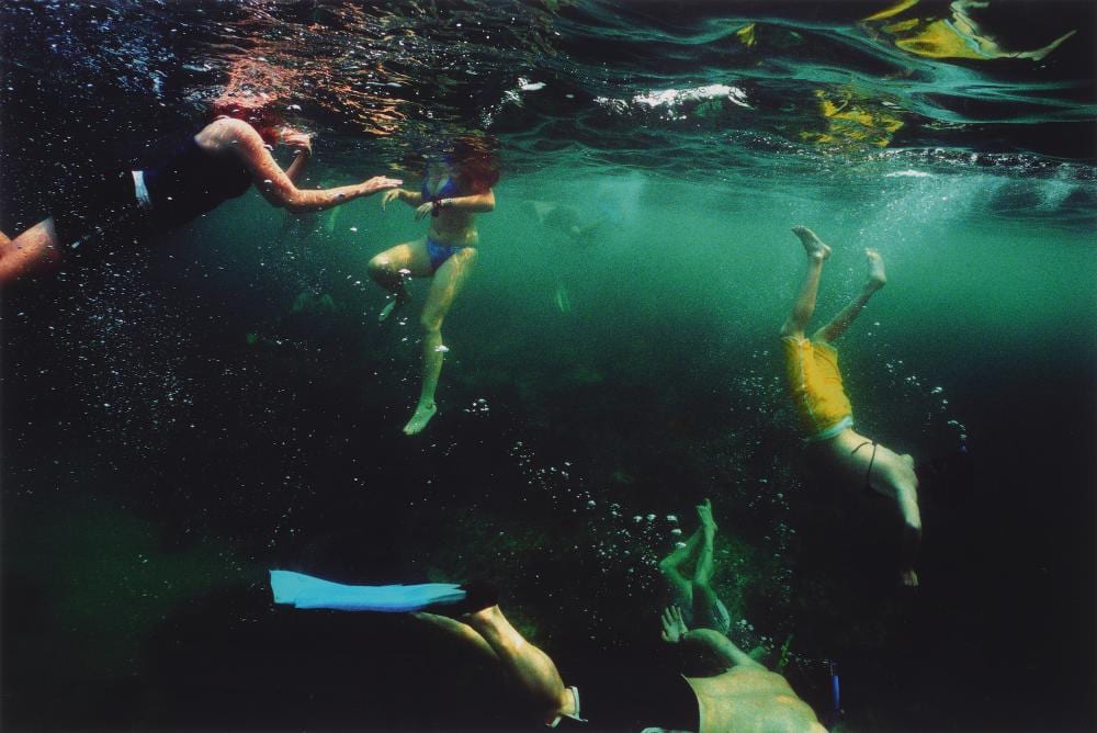 Narelle Autio comparable auction result: narelle autio born 1969 snorkellers 2001 c type photograph ed 6 15