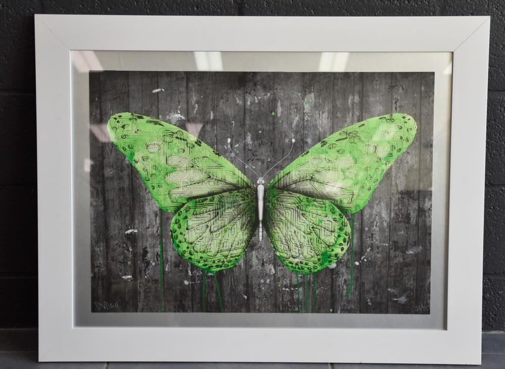 LUDO comparable auction result: ludo 1976 e lepidoptera s rigraphie couleur num rot e 23 25 dimensions 69 x 49 cm collection priv e d art moderne et street art jacques peltzer