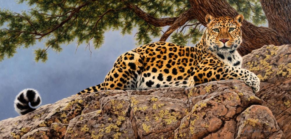 Krystii Melaine comparable auction result: krystii melaine australian b 1963 lair of the cat leopard 2005