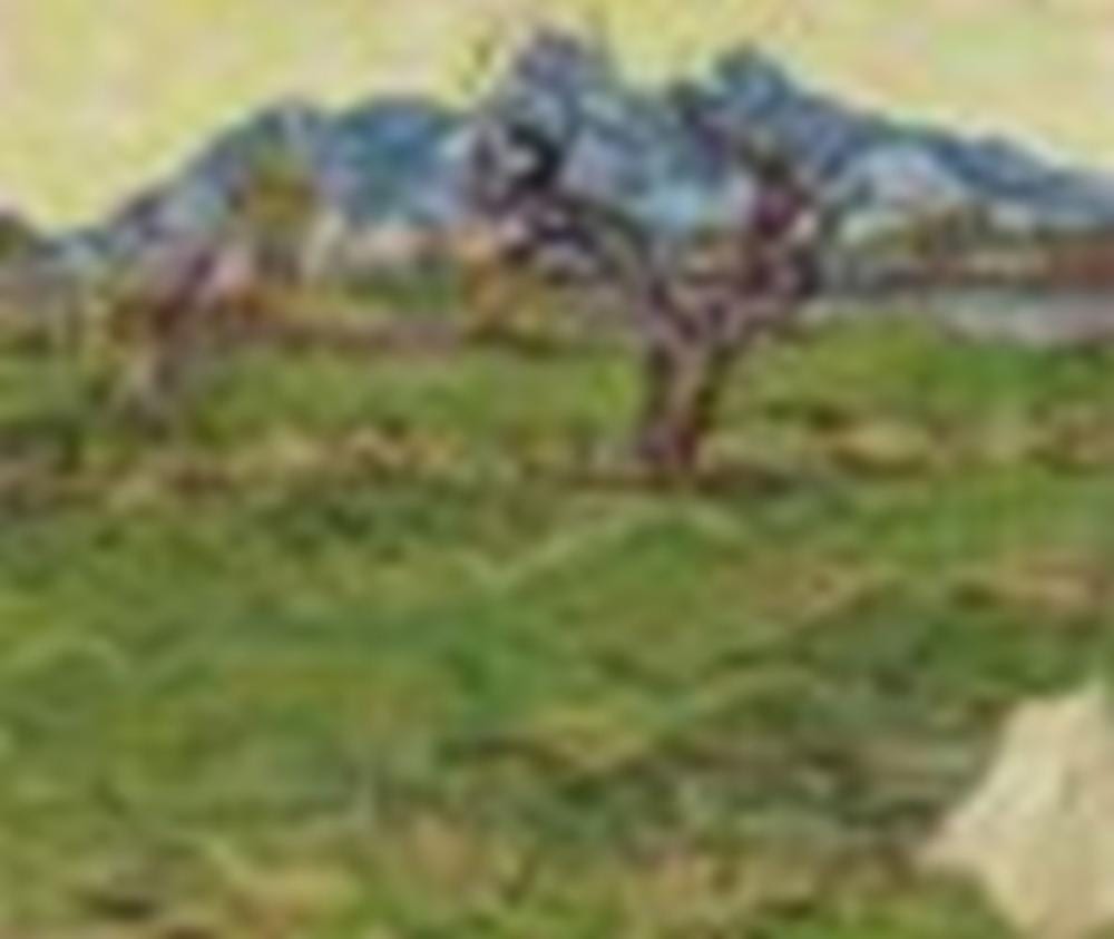Vincent van Gogh (1853-1890) Champs près des Alpilles oil on canvas 18 1/8 comparable sale