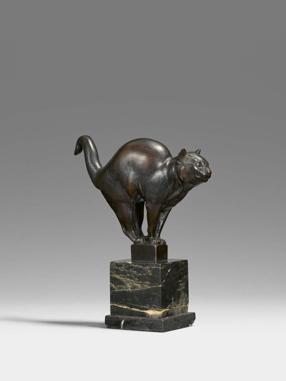 Cathleen Mann comparable auction result: cat male