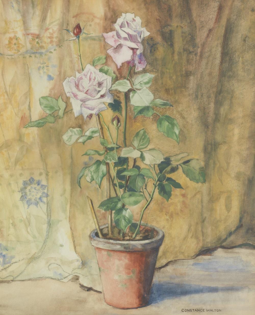 constance walton british 1866 1960 potted rose 57 5 x 48cm 22 5 8 x 18 7 8in · Bonhams · 2022-05-18 Constance Walton comparable auction result: constance walton british 1866 1960 potted rose 57 5 x 48cm 22 5 8 x 18 7 8in