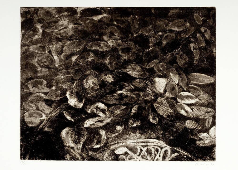 Nino Cordio comparable auction result: nino cordio roma 1937 2000 leaves 1997