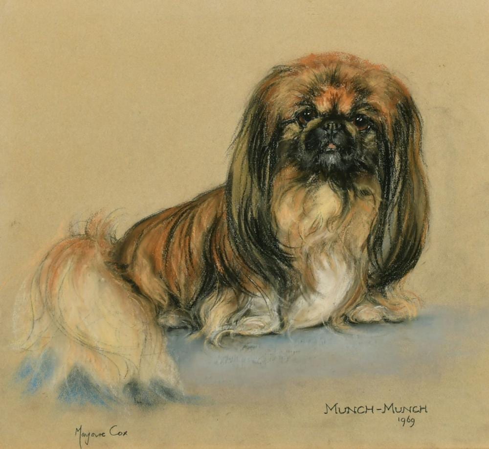 Marjorie Cox comparable auction result: marjorie cox 1915 2003 british munch munch a study of pekingese dog pastel signed and dated 1969 17