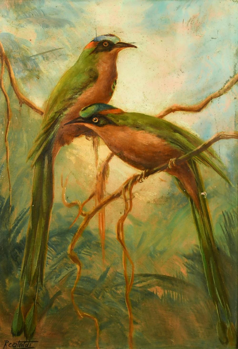 Renato Cataldi comparable auction result: renato cataldi 1909 1981 brazil jeruvas a study of two long feathered birds oil on board 15 75 x 10 7
