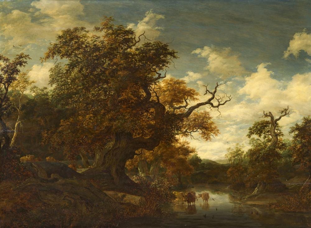 Jacob Salomonsz. van Ruysdael comparable auction result: jacob salomonsz van ruysdael landscape with a large oak water and cattle