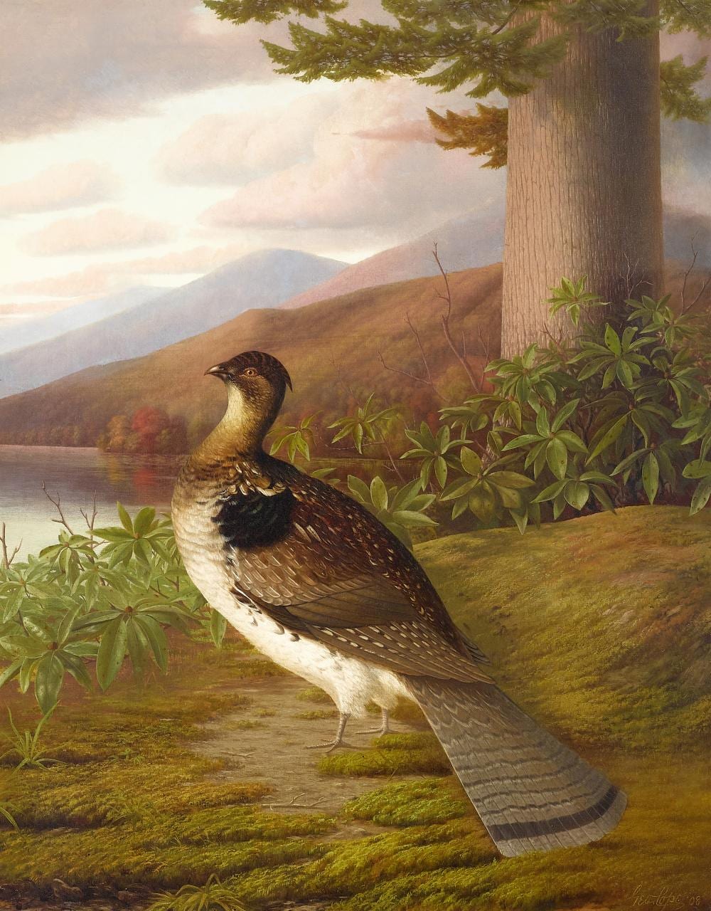 George Cope comparable auction result: george cope 1855 1929 ruffed grouse 28 x 22 in 71 1 x 55 9 cm painted in 1908