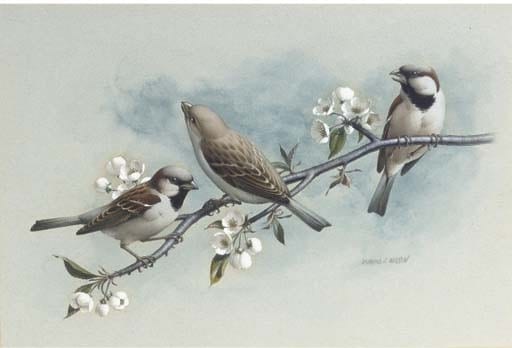 Raymond Cyril Watson comparable auction result: raymond cyril watson b 1935