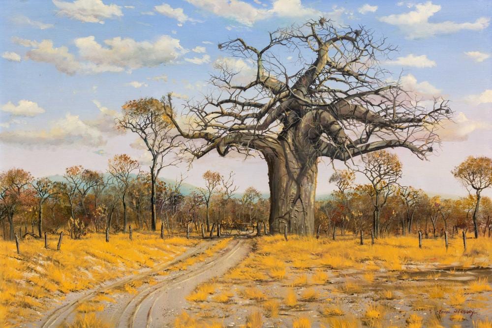 Errol Norbury comparable auction result: errol norbury sa born 1949 oil bushveld landscape with baobab signed 60 x 90