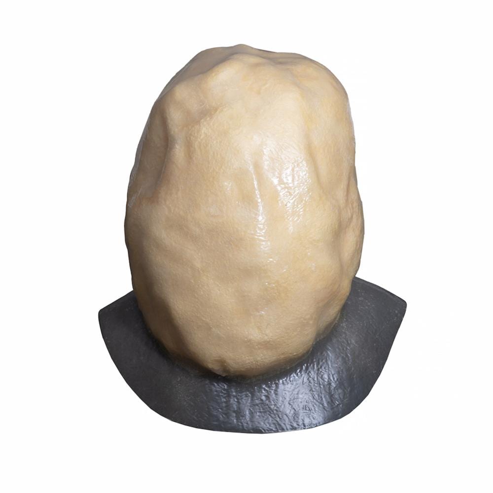 Joep van Lieshout comparable auction result: joep van lieshout dutch 1963 sensory deprivation helmet 1996