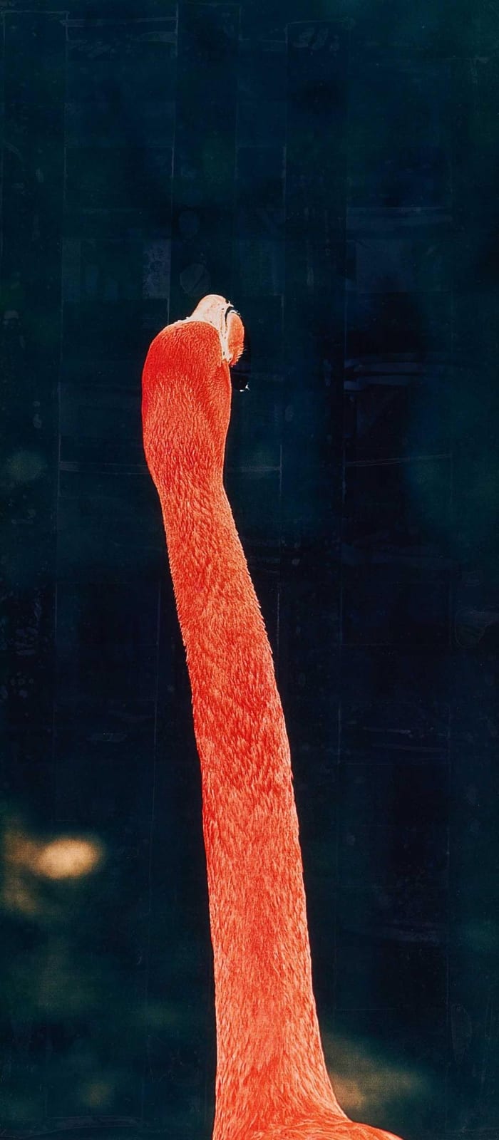 Esko Mannikko comparable auction result: esko m nnikk untitled