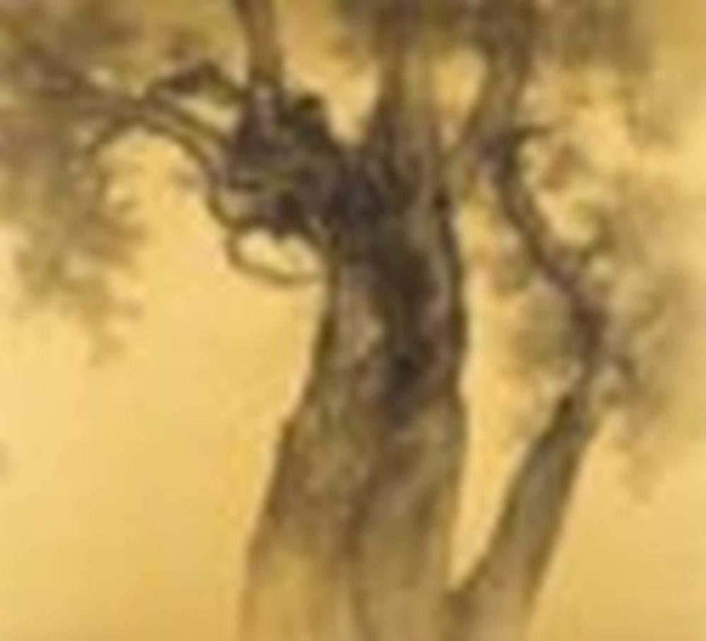 li huayi b 1948 late spring two panel screen framed ink on gold silk 1 · Christie's · 2022-05-26 Huayi Li comparable auction result: li huayi b 1948 late spring two panel screen framed ink on gold silk 1