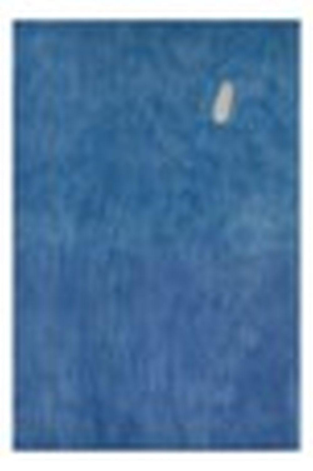 Joan Miró (1893-1983) Le Passage de l'oiseau-migrateur Huile sur toile 194 comparable sale