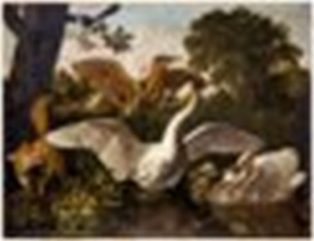 Dirck Wijntrack comparable auction result: dirck wijntrack 1625 1678 le cygne effray par un renard huile sur toile