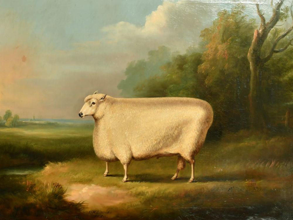 William Henry Davis comparable auction result: william henry davis 1786 1865 british portrait of a prize winning sheep oil on canvas signed and dated 18