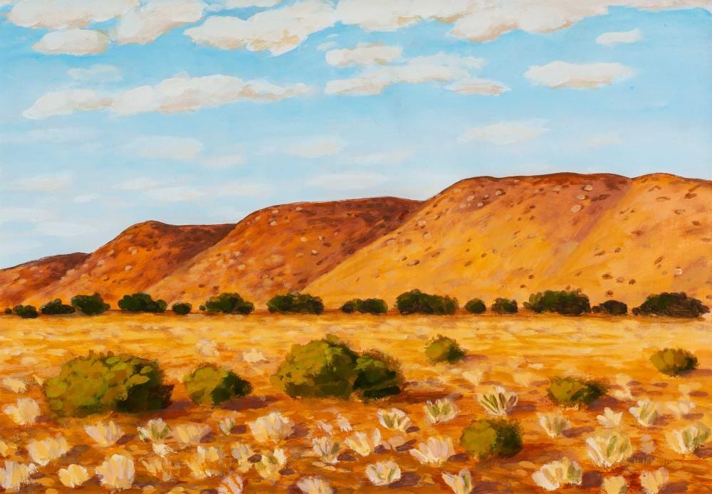 Hermann Niebuhr comparable auction result: herman niebuhr sa born 1972 oil towards barrydale signed 41 x 58