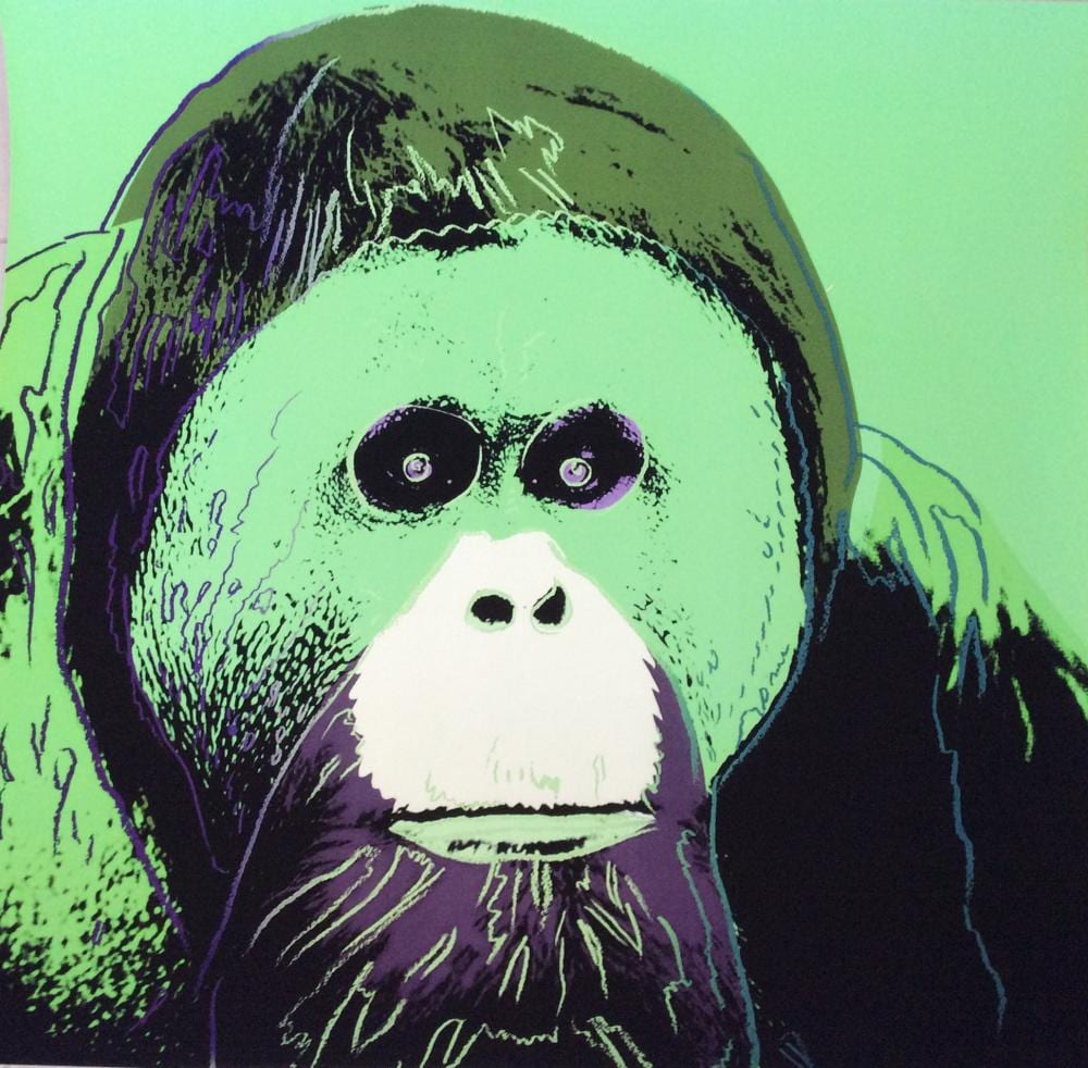 Colorful pop-art portrait of a white animal with big eyes and a green background, with black-and-purple line details and splatters.