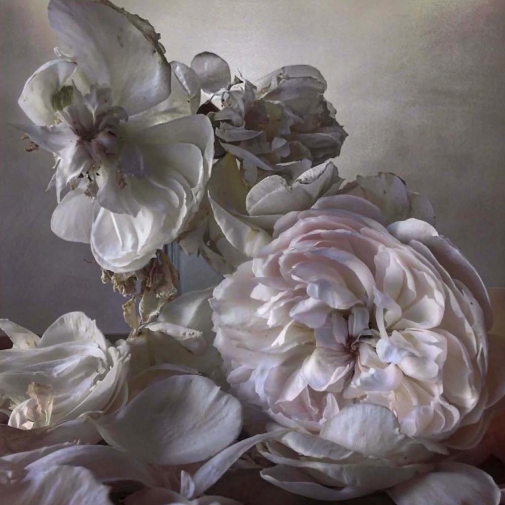 Nick Knight comparable auction result: nick knight b 1958 saturday 8th august 2015