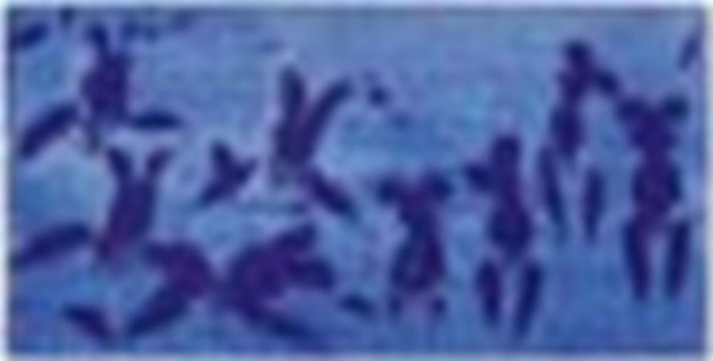 Yves Klein (1928-1962) Anthropométrie de l’époque bleue, (ANT 124) (Anthrop comparable sale