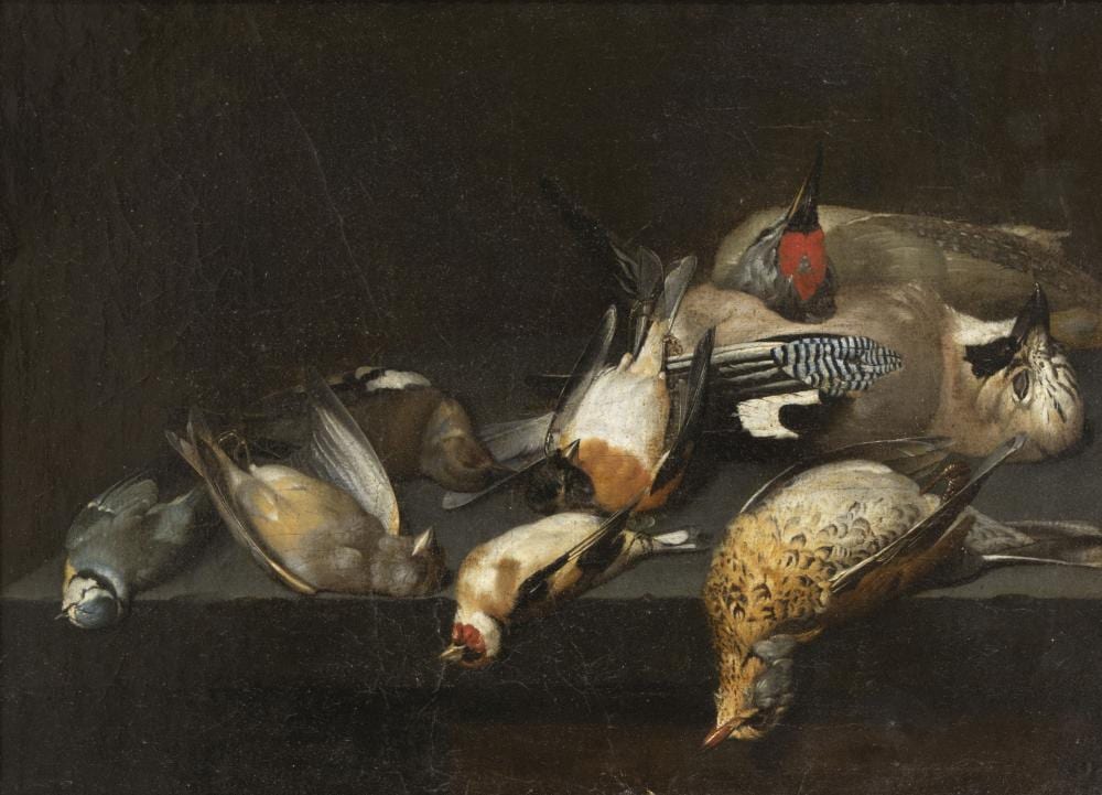 jan vonck 1631 1663 64 nature morte aux oiseaux toile 36 50 cm · Cornette de Saint-Cyr · 2022-06-22 Jan Vonck comparable auction result: jan vonck 1631 1663 64 nature morte aux oiseaux toile 36 50 cm
