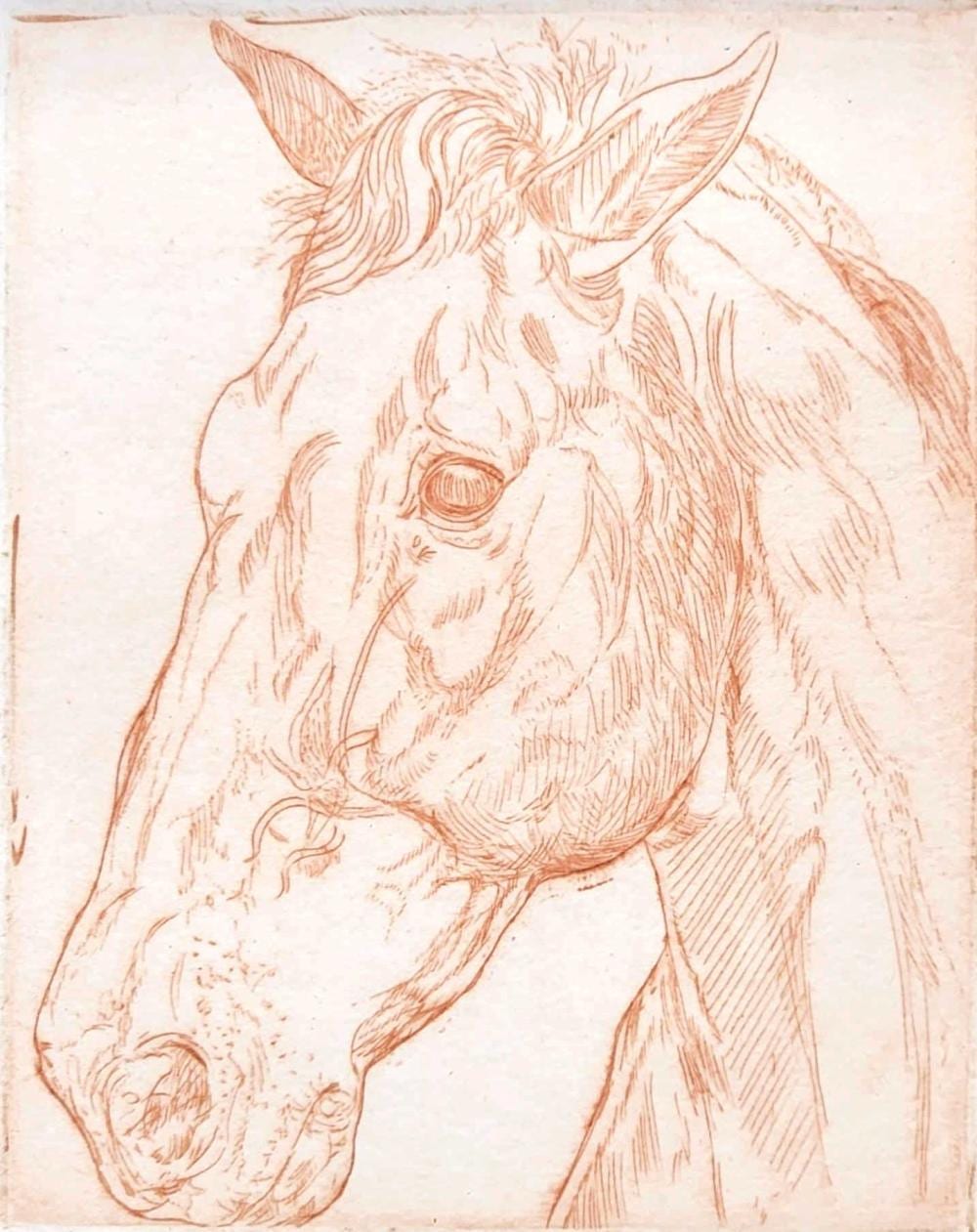 Ivan Valtchev comparable auction result: ivan valtchev signed artist proof etching
