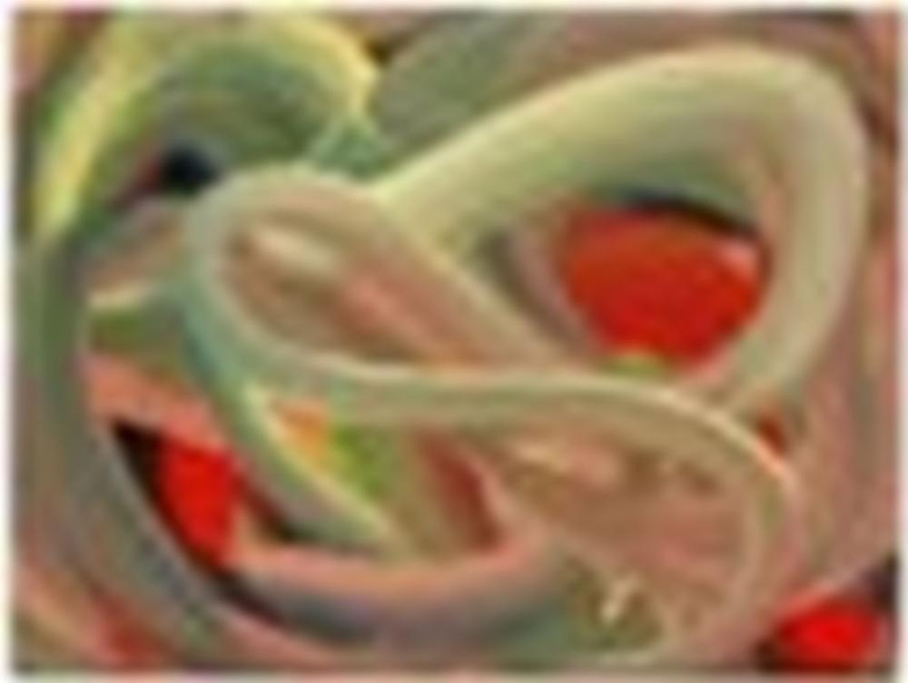 Karin Davie comparable auction result: karin davie b 1965 heart s guest 8 oil on canvas 12 x 16 in 30 5 x 4
