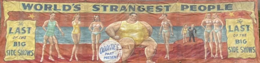 snap wyatt world s strangest people · Freedom Auction Company · 2022-08-06 Snap Wyatt comparable auction result: snap wyatt world s strangest people