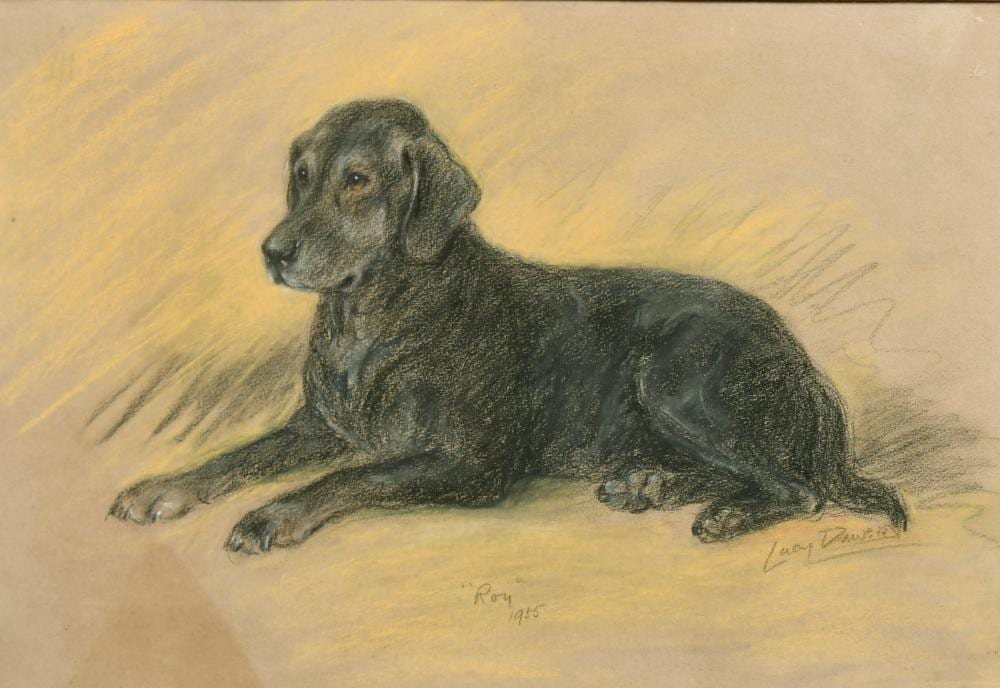 Lucy Dawson comparable auction result: lucy dawson 1875 1954 british study of a black labrador roy pastel inscribed signed and dated 1955 11