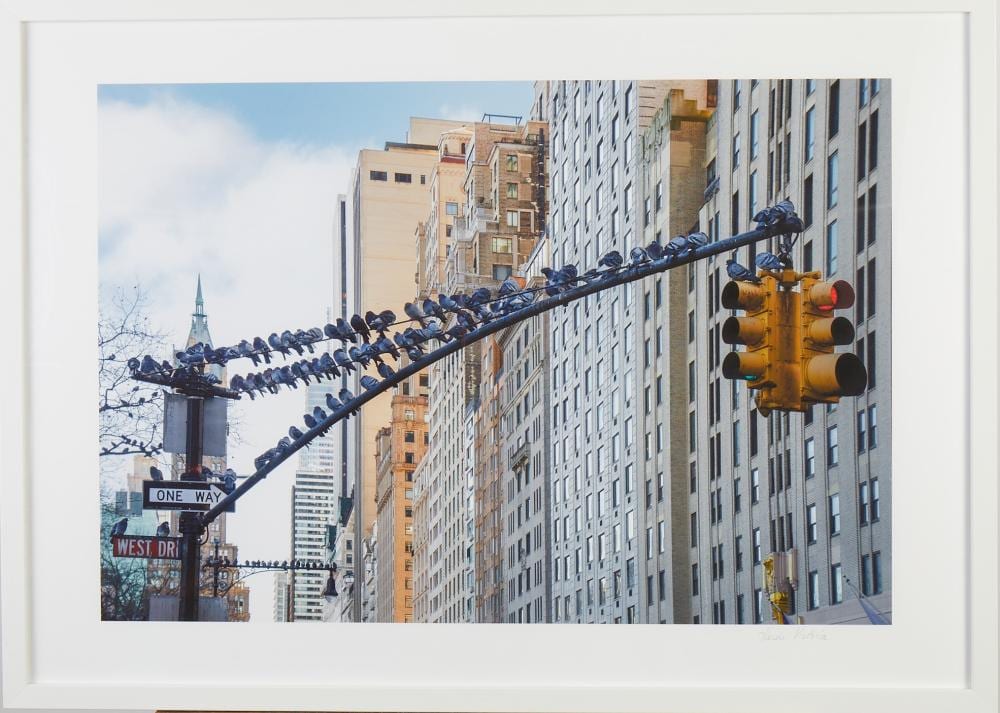 heidi victoria born 1967 it s crowded up here new york · Gibson's · 2022-08-09 Heidi Victoria comparable auction result: heidi victoria born 1967 it s crowded up here new york