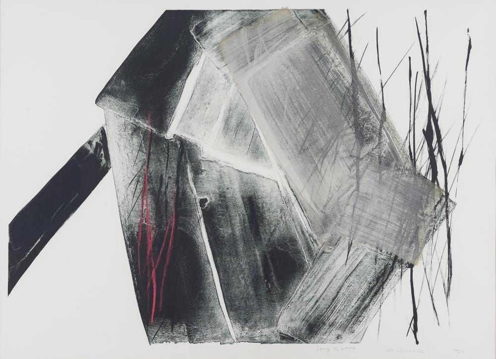 Toko Shinoda | Song of Wood comparable sale