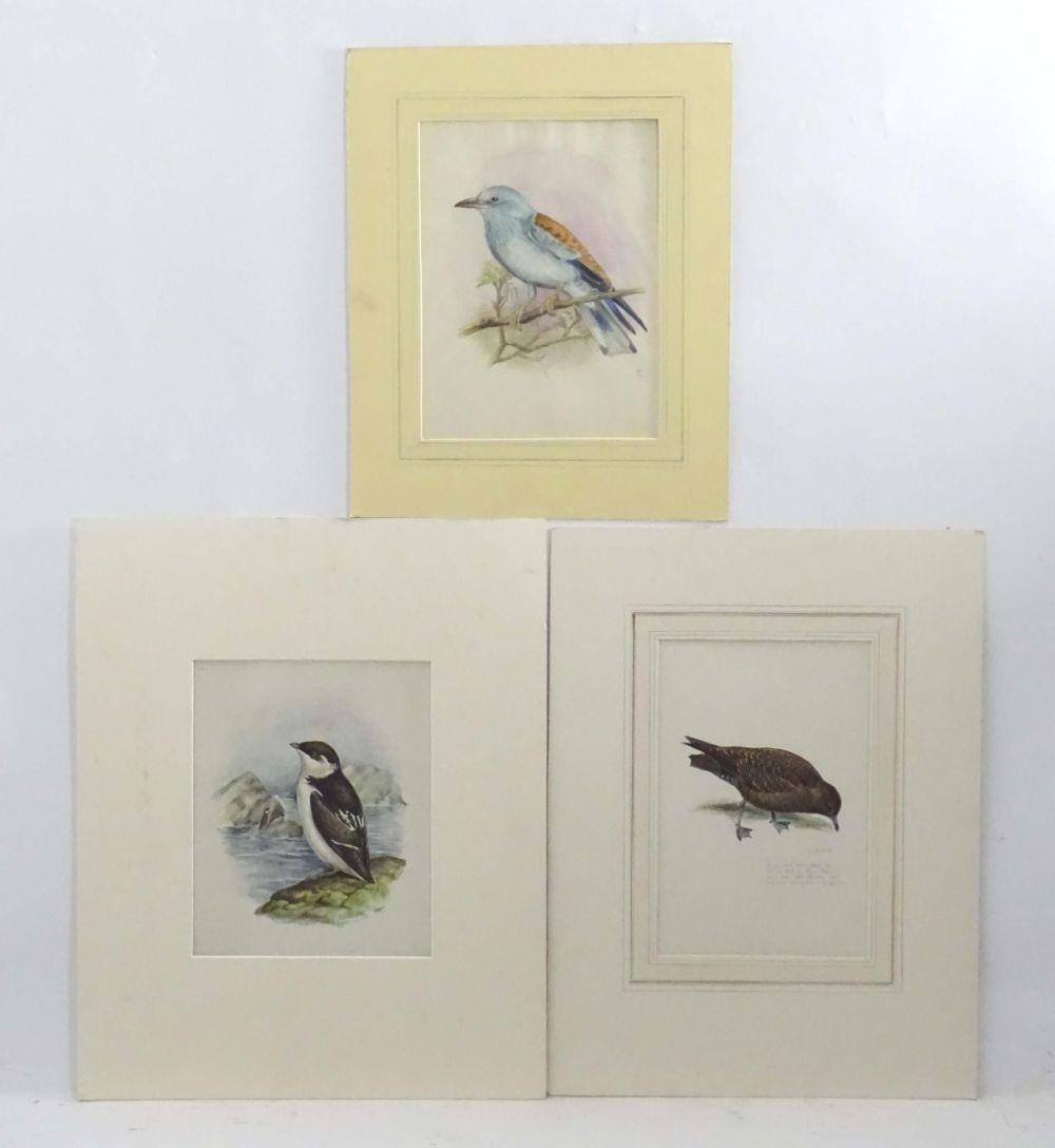 Eric Gorton comparable auction result: eric gorton 20th century ornithological school watercolour gouache and