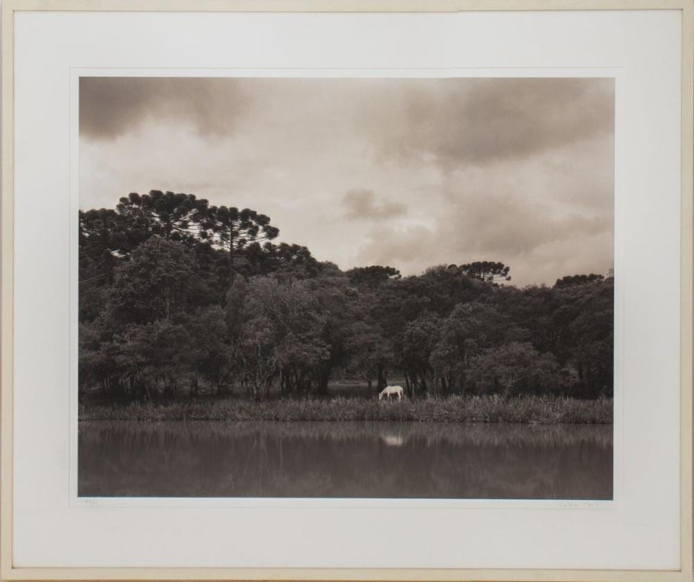 Valdir Cruz comparable auction result: cruz paisagem com cavalo branco photograph