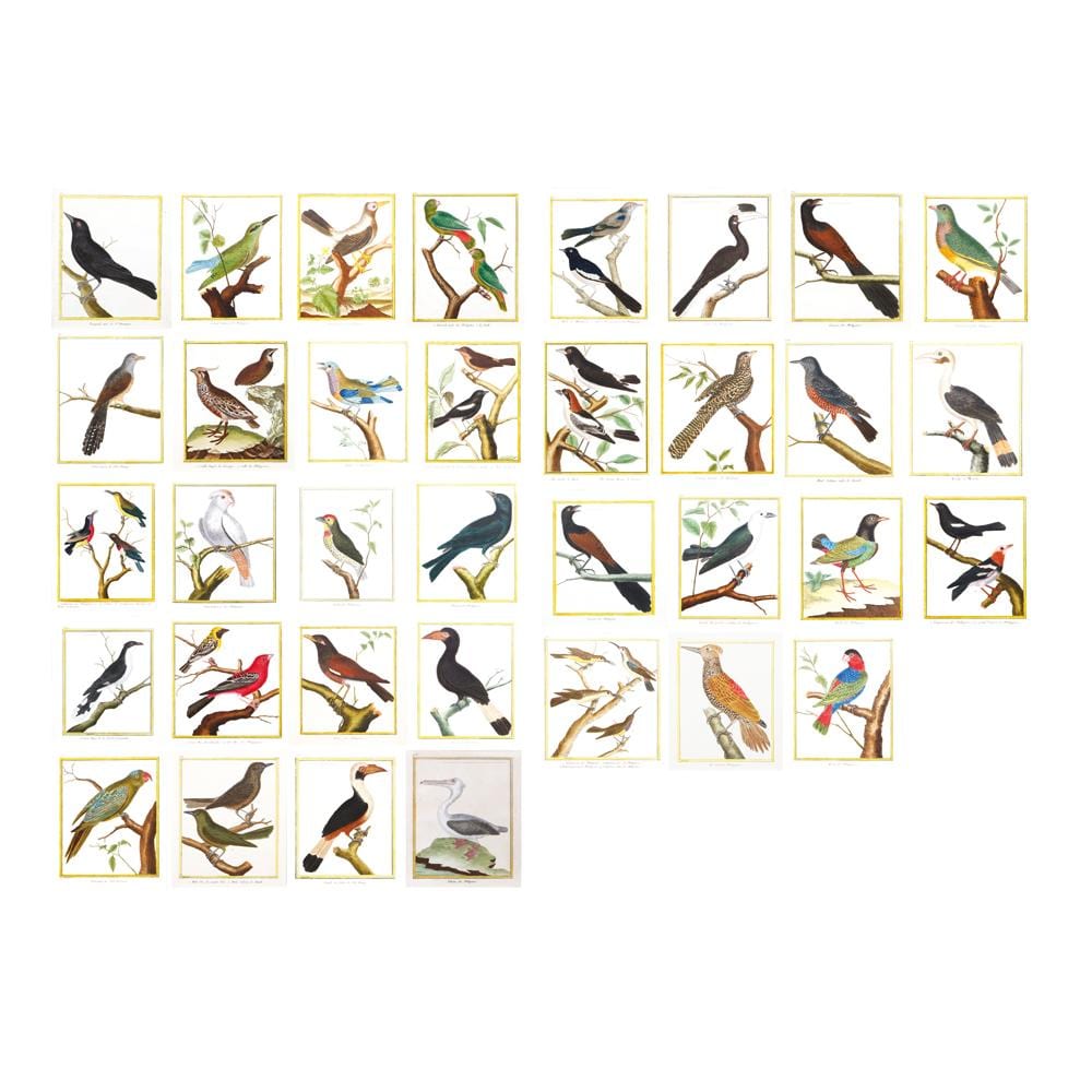 François Nicolas Martinet comparable auction result: fran ois nicolas martinet 1731 1800 thirty five 35 hand colored copper engravings from the histoire naturelle des oiseaux the natural history of birds