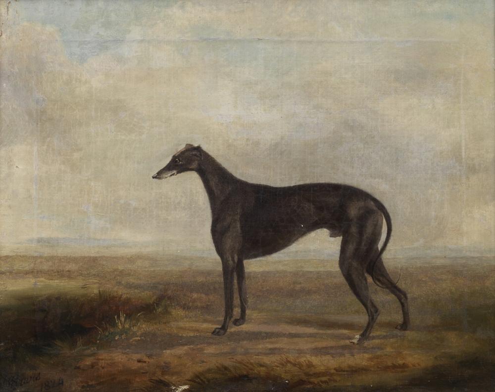 William Henry Davis comparable auction result: william henry davis british 1786 1865 a favourite greyhound