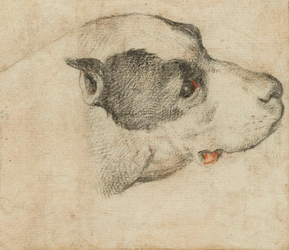 giovanni battista vanni 1599 1660 t te de chien tude fusain et rehauts · Geneve Encheres · 2022-09-22 Giovanni Battista Vanni comparable auction result: giovanni battista vanni 1599 1660 t te de chien tude fusain et rehauts