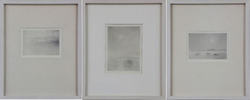 Gunnar Norrman comparable auction result: gunnar norrman 1912 malm 2005 lomma